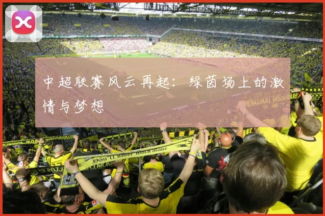中超联赛风云再起：绿茵场上的激情与梦想